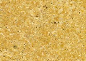 Marmol amarillo fosil